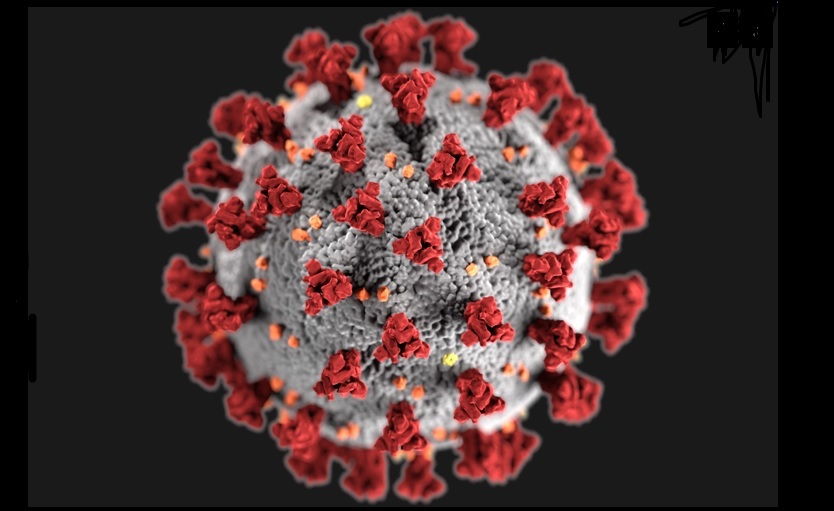 dangerous coronavirus